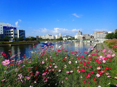 しながわ花海道 photo:nagao